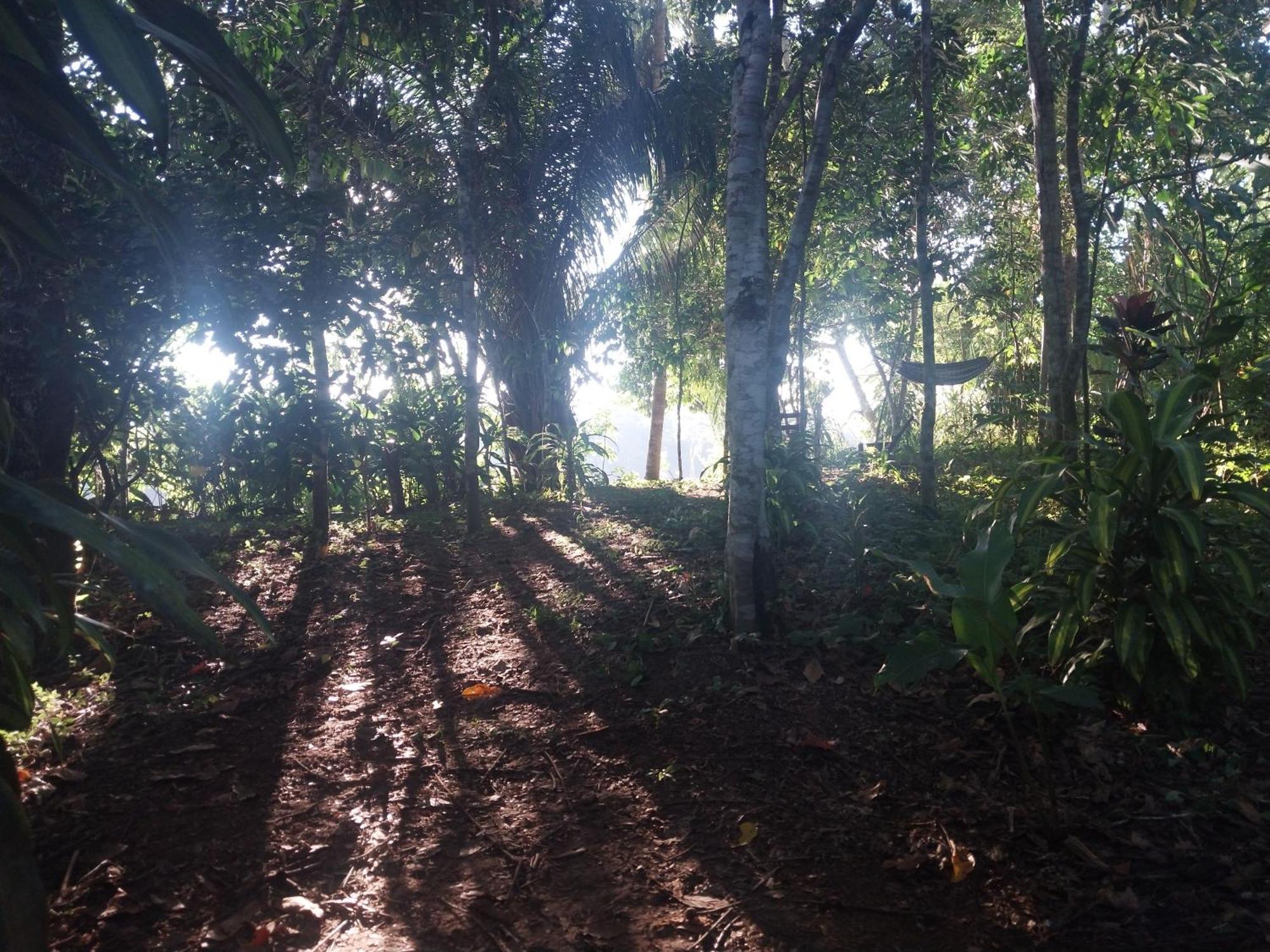 Jardin De Las Musas Puerto Maldonado Ngoại thất bức ảnh